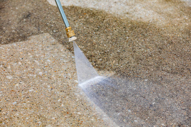 Best Warehouse Cleaning  in Waynesboro, VA