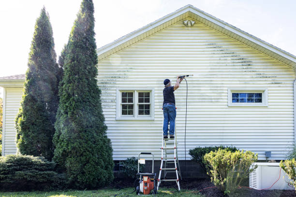 Best Roof Washing  in Waynesboro, VA