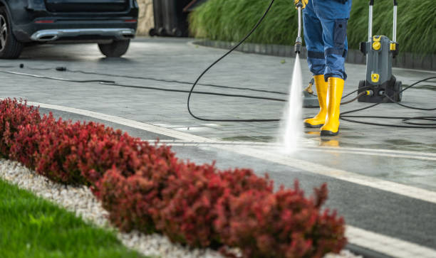 Best Parking Lot and Garage Cleaning  in Waynesboro, VA
