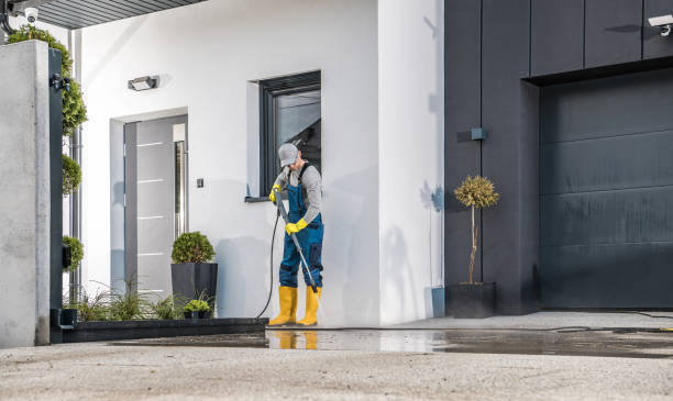 Best Fence Cleaning  in Waynesboro, VA